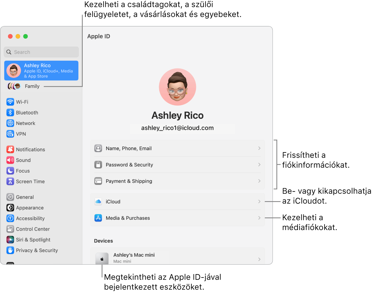 A Rendszerbeállítások Apple ID beállításai a fiókadatok frissítésére, az iCloud-funkciók be- vagy kikapcsolására, a médiafiókok kezelésére és a Családra (itt kezelheti a családtagokat, a szülői felügyeletet, a vásárlásokat stb.) mutató képfeliratokkal.