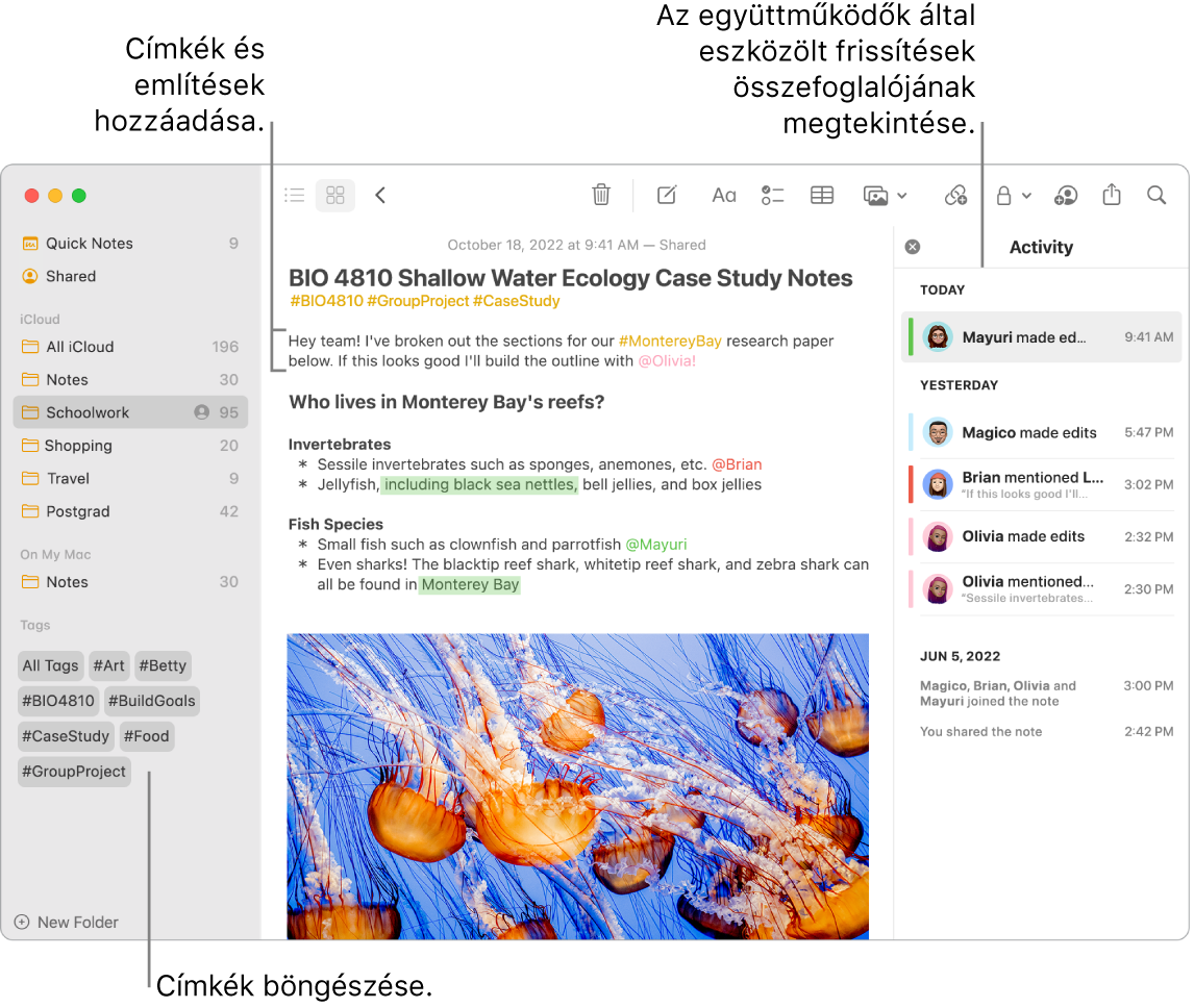 A Jegyzetek ablaka Galéria nézetben, címkék ábrafelirataival az oldalsávon. A fő jegyzetben egy címke ábrafelirata és egy említés látható. A jobb oldalon egy aktivitási lista és a frissítések összesítésének megtekintésére irányuló ábrafelirat található.