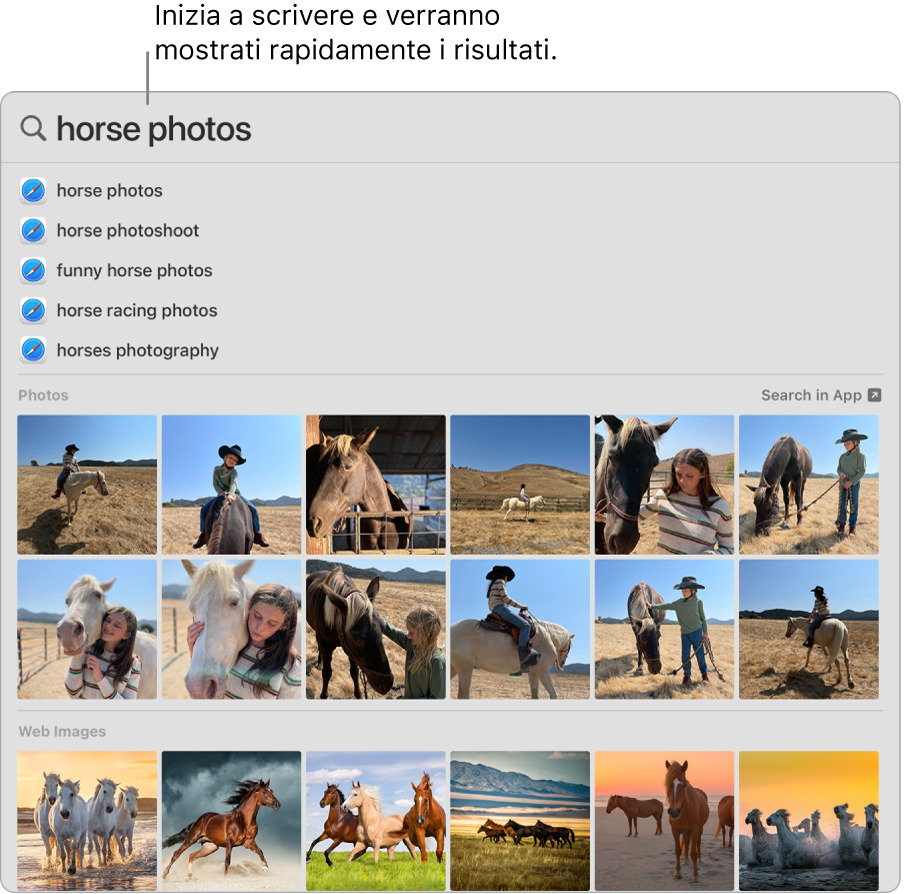 La finestra di Spotlight che mostra i risultati di ricerca per “foto di cavalli”.