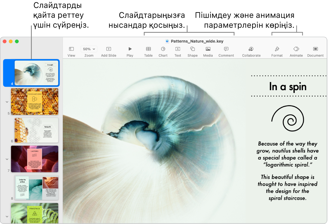Сол жағында слайд шарлағышын және слайдтарды қайта реттеу жолын, жоғарғы жағында құралдар тақтасы мен оның өңдеу құралдарын, жоғарғы оң жаққа жақын Collaborate түймесін және оң жақта Format және Animate түймелерін көрсетіп тұрған Keynote терезесі.