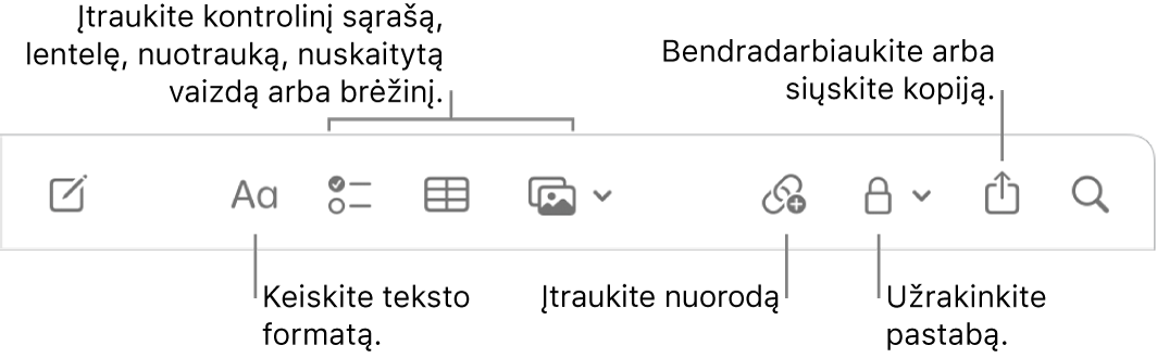 „Notes“ įrankių juosta su išnašomis į teksto formatavimo, kontrolinio sąrašo, lentelės, nuorodos, nuotraukų / turinio, užrakinimo, bendrinimo ir kopijos siuntimo priemones.