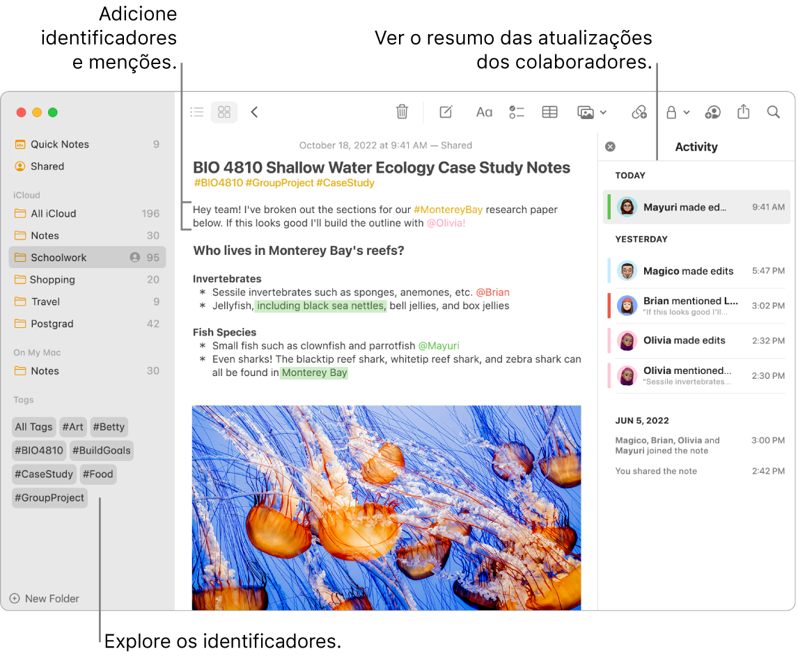 Uma janela da aplicação Notas na vista de galeria com uma chamada para identificadores na barra lateral. Na nota principal, está uma chamada para um identificador e uma menção. À direita está uma lista de atividades com uma chamada para ver um resumo das atualizações.