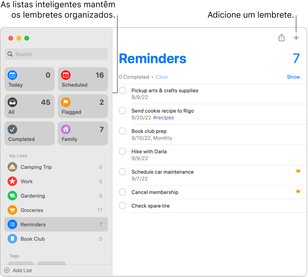 Uma janela da aplicação Lembretes com listas inteligentes à esquerda e outros lembretes e listas por baixo. O cursor está num lembrete. Existem chamadas para as listas inteligentes e para o botão Adicionar um novo lembrete.