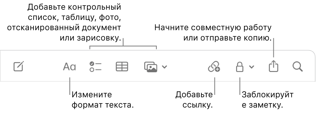 Панель инструментов в приложении «Заметки». Выносками отмечены инструменты форматирования, добавления списка, таблицы, ссылки, мультимедиа, кнопка для установки пароля, кнопка «Поделиться» и кнопка «Отправить копию».