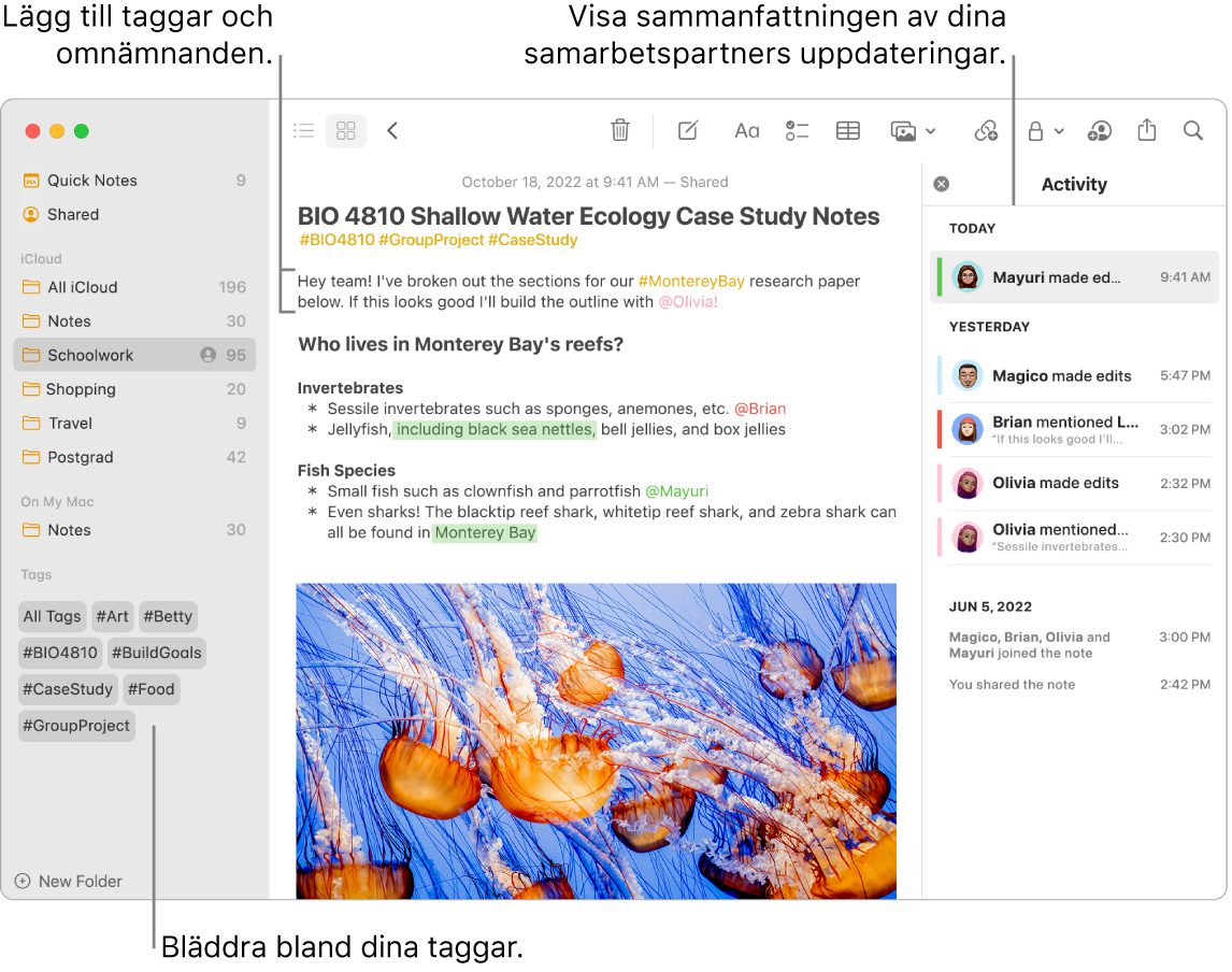 Ett Anteckningar-fönster i gallerivy med streck till taggar i sidofältet. I den huvudsakliga anteckningen finns ett streck till en tagg och ett omnämnande. Till höger finns en aktivitetslista med ett streck som anger hur du visar en sammanfattning av uppdateringarna.