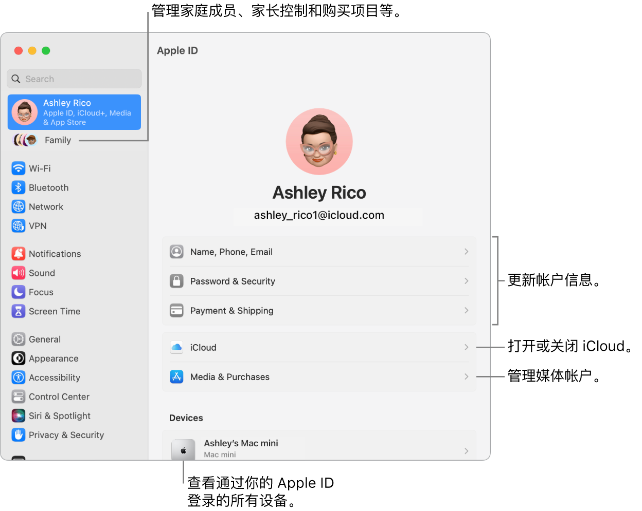 “系统设置”中的 Apple ID 设置，包含更新帐户信息、打开或关闭 iCloud 功能、管理媒体帐户和“家人共享”（可在其中管理家庭成员、家长控制和购买项等等）的标注。