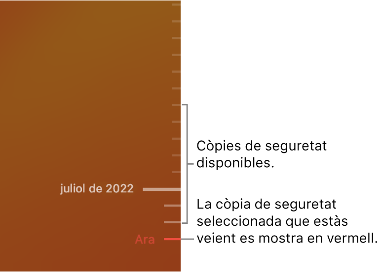 Cronologia de la còpia de seguretat de Time Machine.