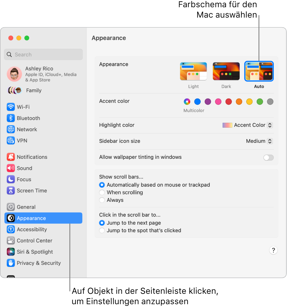 Die Einstellungen „Erscheinungsbild“ in den Systemeinstellungen.