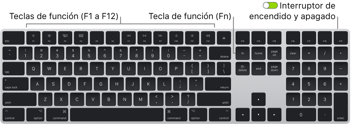 Teclado Magic Keyboard de mostrando la tecla de función (Fn) en la esquina inferior izquierda y el botón de encendido/apagado en la esquina superior derecha del teclado.