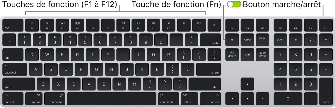 Magic Keyboard présentant la touche de fonction (Fn) dans le coin inférieur gauche et le bouton marche/arrêt dans le coin supérieur droit du clavier.