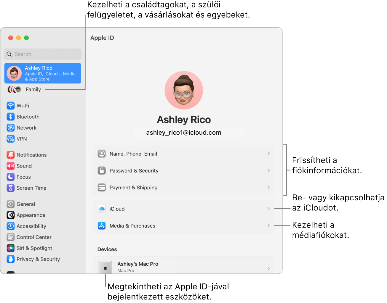 A Rendszerbeállítások Apple ID panelje a fiókadatok frissítésére, az iCloud-funkciók be- vagy kikapcsolására, a médiafiókok kezelésére és a Családra (itt kezelheti a családtagokat, a szülői felügyeletet, a vásárlásokat stb.) mutató képfeliratokkal.