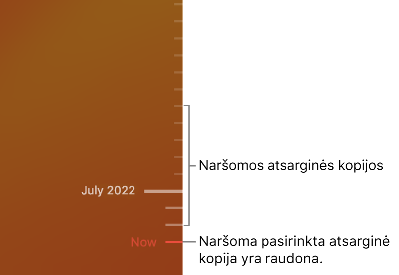 „Time Machine“ atsarginės kopijos laiko juosta.