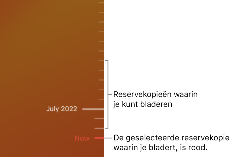 De tijdlijn met Time Machine-reservekopieën.