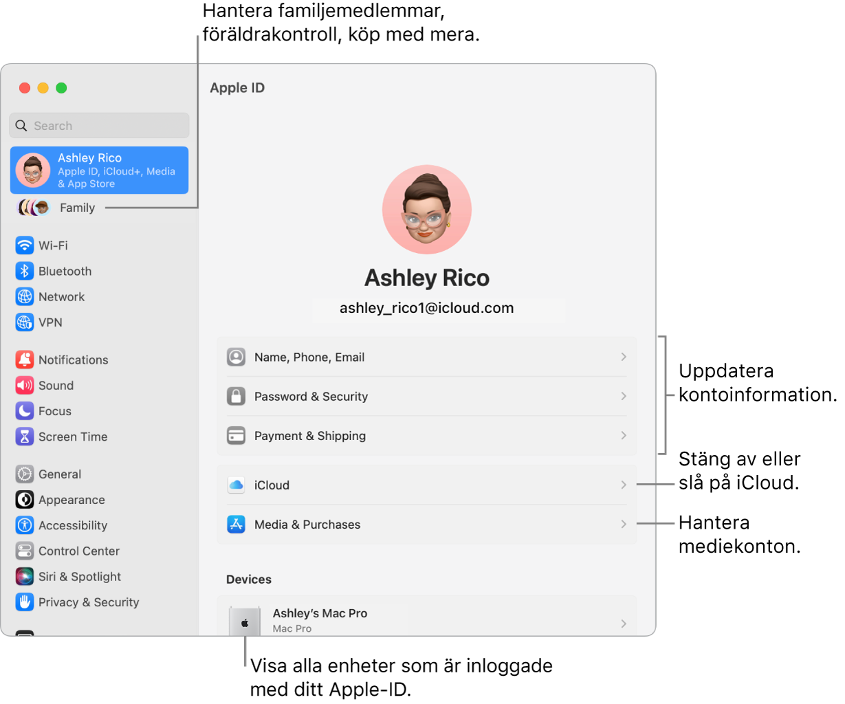 Apple‑ID-inställningarna i Systeminställningar med streck som pekar mot alternativ för att uppdatera kontoinformation, slå på eller stänga av iCloud-funktioner, hantera mediekonton och Familj där du kan hantera familjemedlemmar, föräldrakontroller, köp med mera.