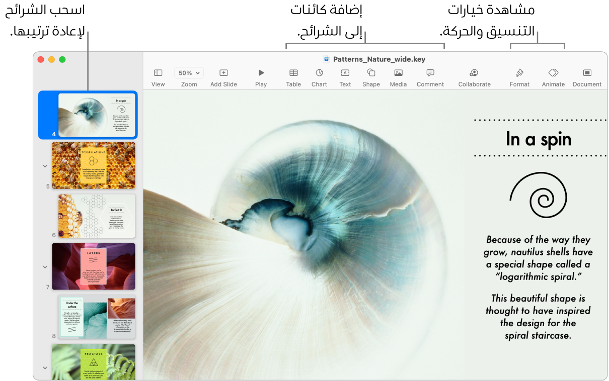 نافذة Keynote تعرض متصفح الشرائح على اليمين وكيفية إعادة ترتيب الشرائح، وشريط الأدوات وأدوات التحرير الخاصة به في الأعلى، والزر تعاون بالقرب من أعلى اليسار، والزرين تنسيق وحركة على اليسار.