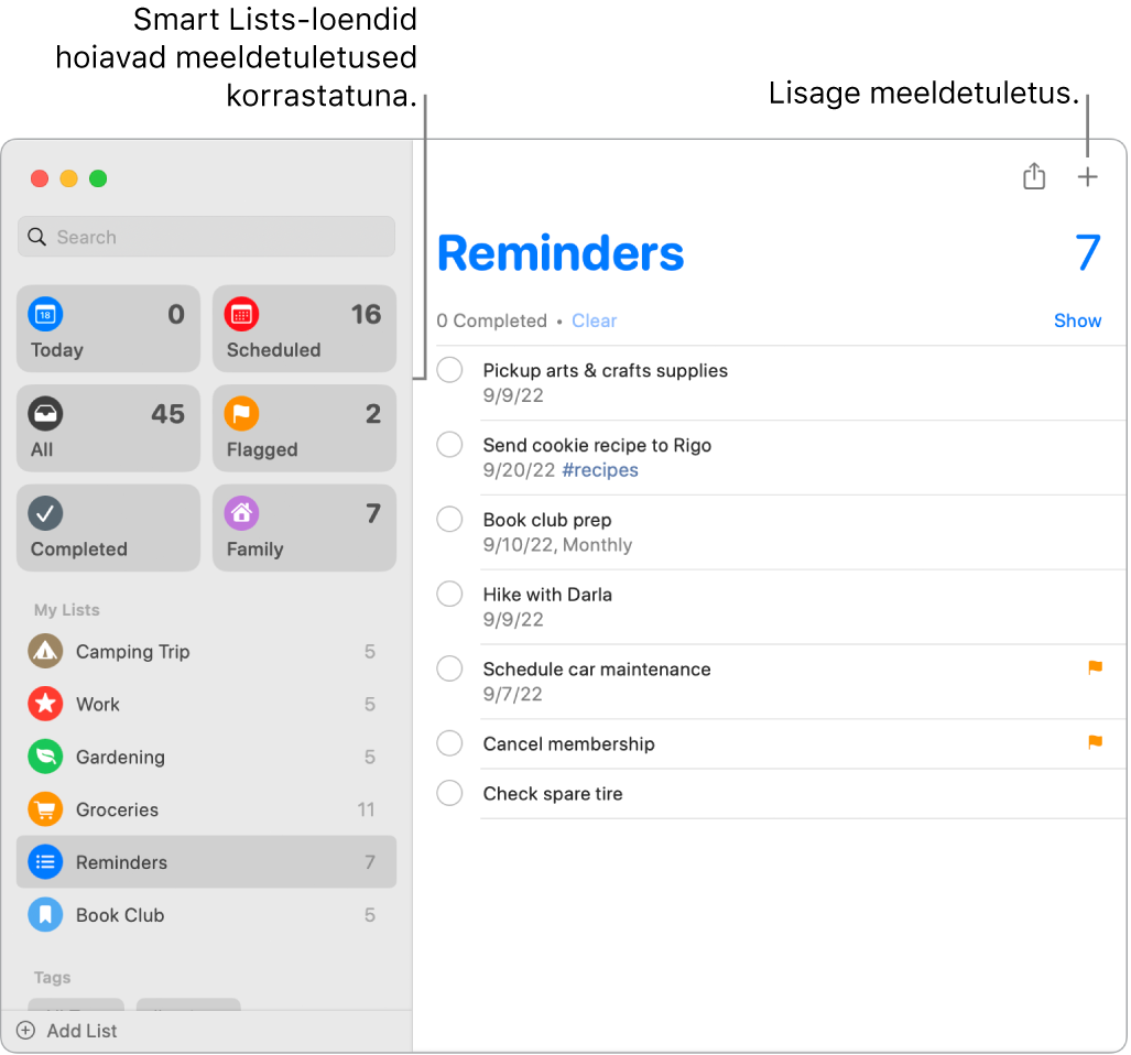 Meeldetuletuste aken nutikate loenditega vasakul ning teiste meeldetuletuste ja loenditega all. Kursor on meeldetuletusel. Väljaviigud on jaotisele Smart Lists ja nupule “Add a new reminder”.