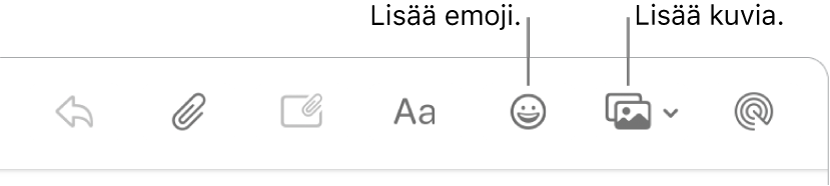 Kirjoitusikkuna, jossa näkyy emoji- ja kuvapainikkeet.