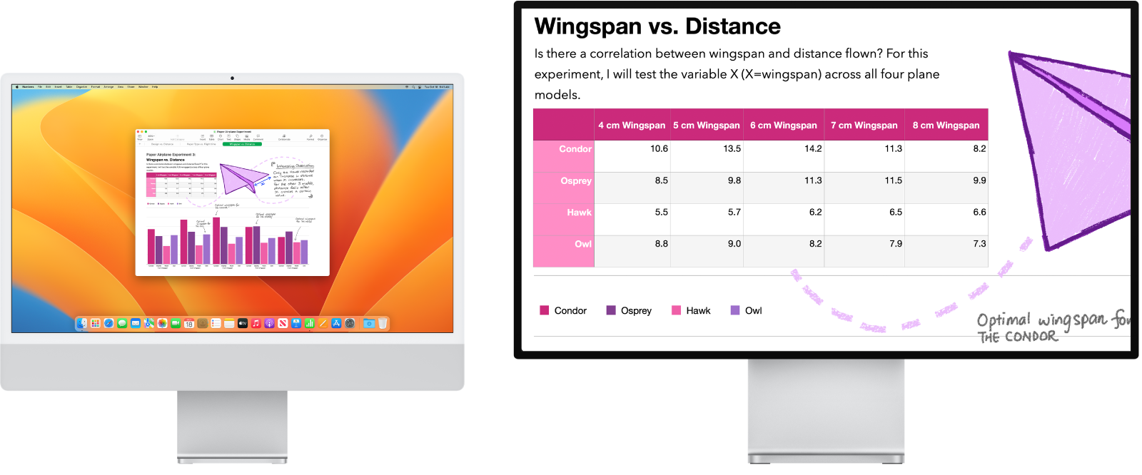 L’écran Zoom est actif sur l’écran secondaire tandis que la taille de l’écran reste fixe sur l’iMac.