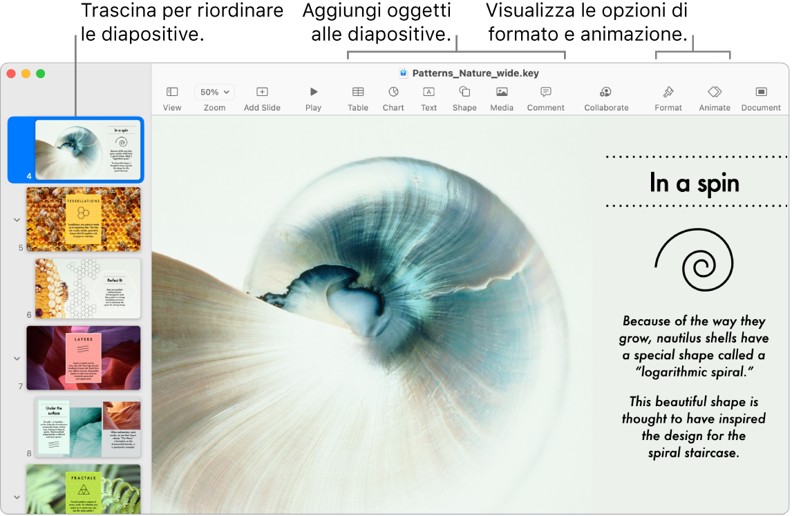 Una finestra di Keynote che mostra il navigatore diapositive a sinistra e il modo in cui riordinare le diapositive, la barra degli strumenti e i relativi strumenti di modifica in alto, il pulsante Collabora nella parte superiore destra e i pulsanti Formattazione e Animazione a destra.