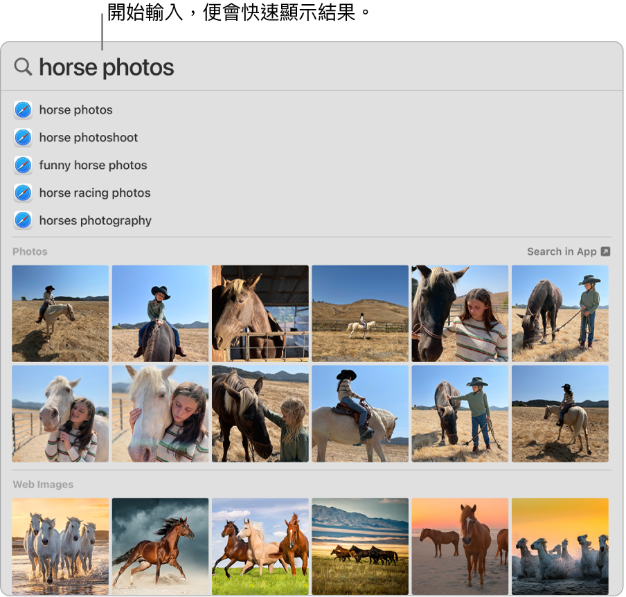 Spotlight 視窗顯示「馬匹照片」的搜尋結果。