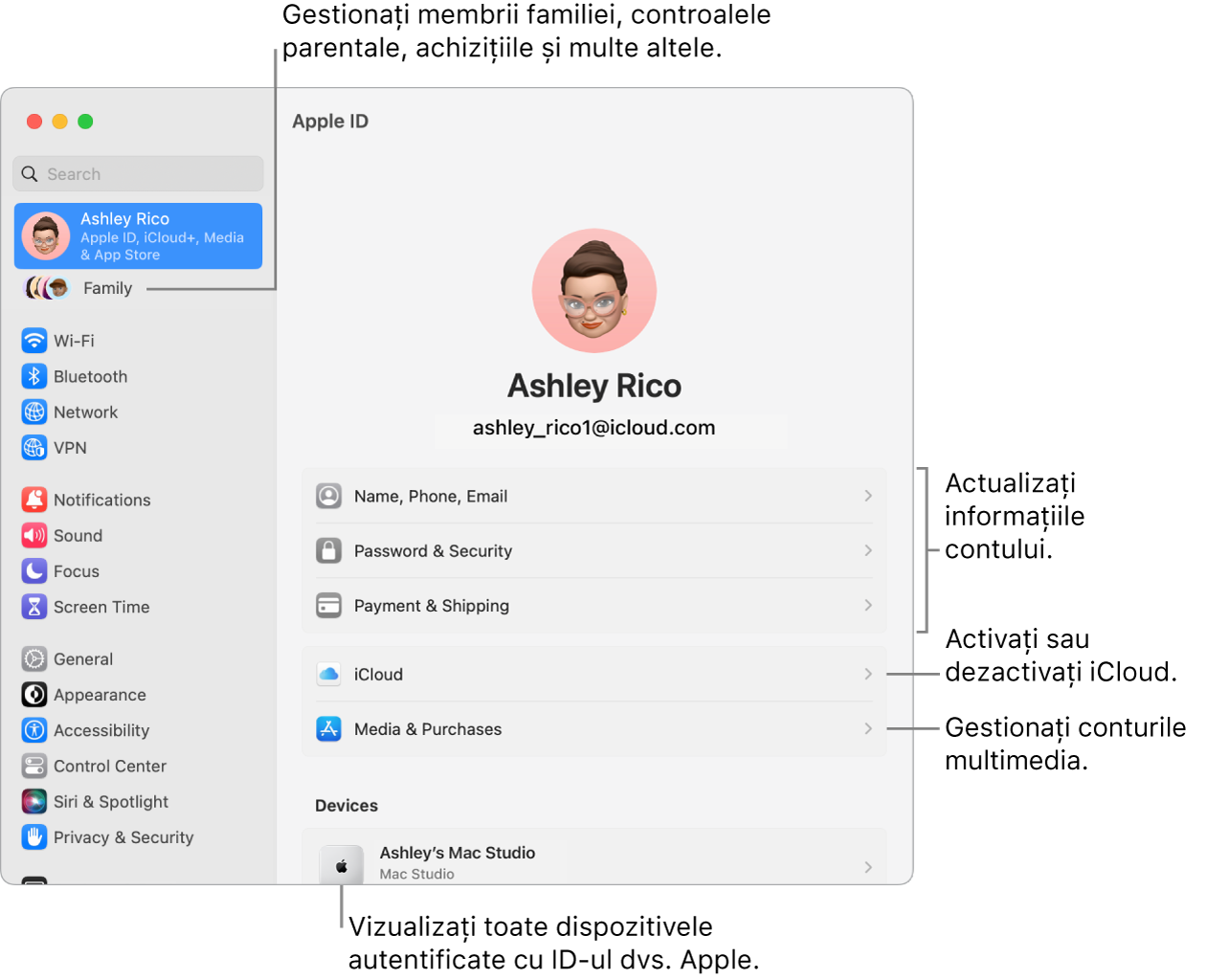 Configurările ID Apple din Configurări sistem cu explicații pentru actualizarea informațiilor contului dvs., activarea sau dezactivarea funcționalităților iCloud, gestionarea conturilor multimedia și Familie, unde puteți gestiona membrii familiei, controalele parentale, cumpărăturile și altele.