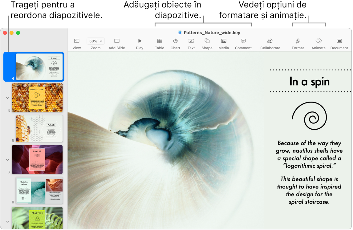 O fereastră Keynote afișând navigatorul de diapozitive în stânga și modul de reordonare a diapozitivelor, bara de instrumente cu instrumentele de editare în partea de sus, butonul Colaborează lângă partea din dreapta sus și butoanele Format și Animare în dreapta.