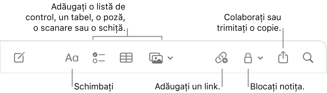 Bara de instrumente Notițe, cu explicații pentru formatarea textului, listă de control, tabel, link, poze/conținut multimedia, blocare, partajare și instrumentele pentru trimiterea unei copii.