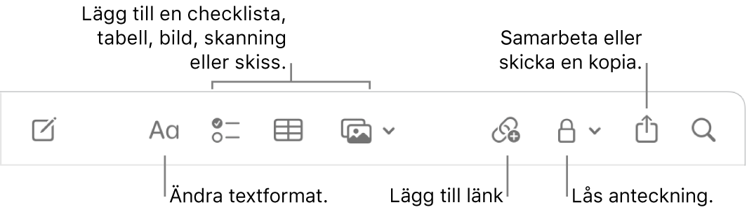 Verktygsfältet i Anteckningar med streck till verktygen för textformat, checklista, tabell, länk, bilder/medier, lås, delning och skicka en kopia.