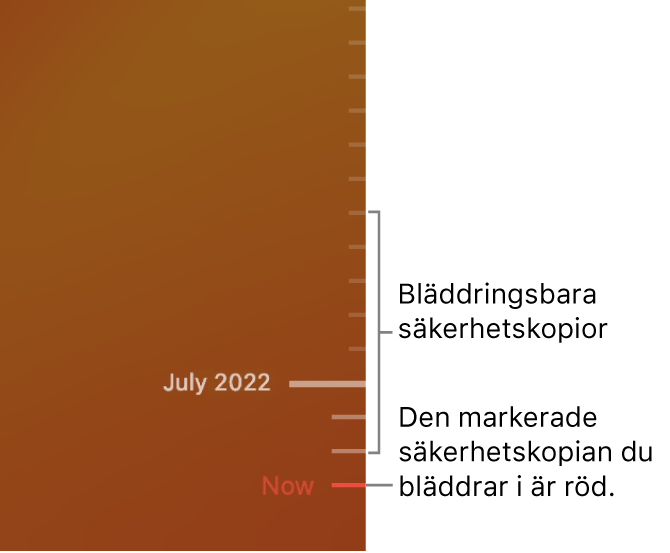 Tidslinjen för säkerhetskopiering med Time Machine.