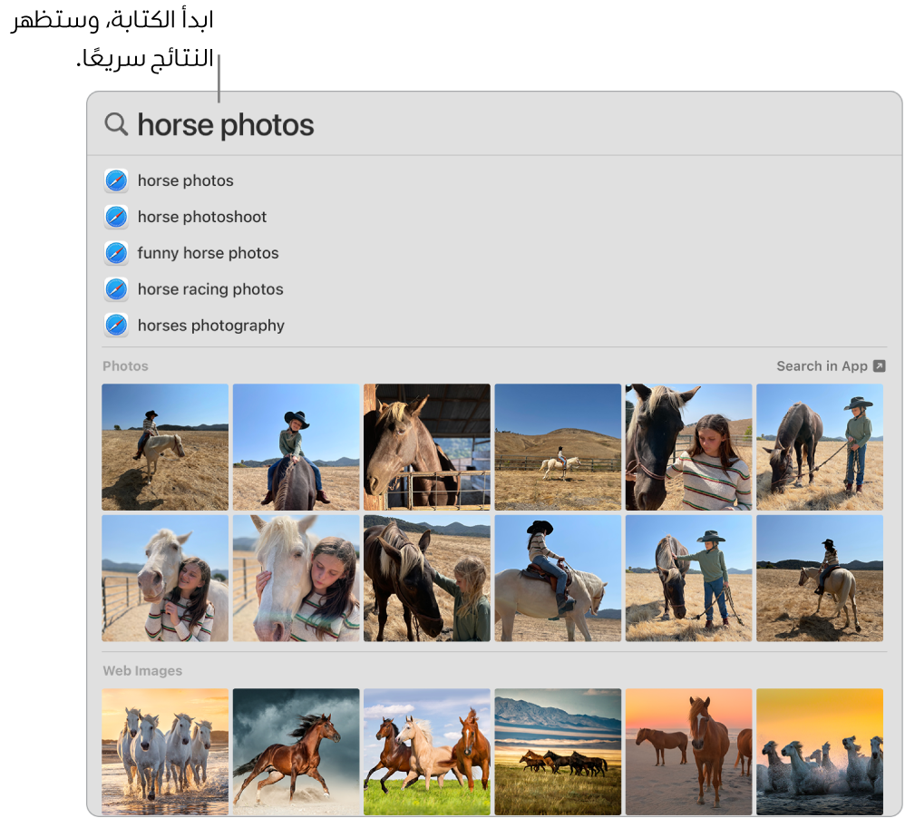 نافذة الباحث تعرض نتائج البحث عن "صور الخيول".