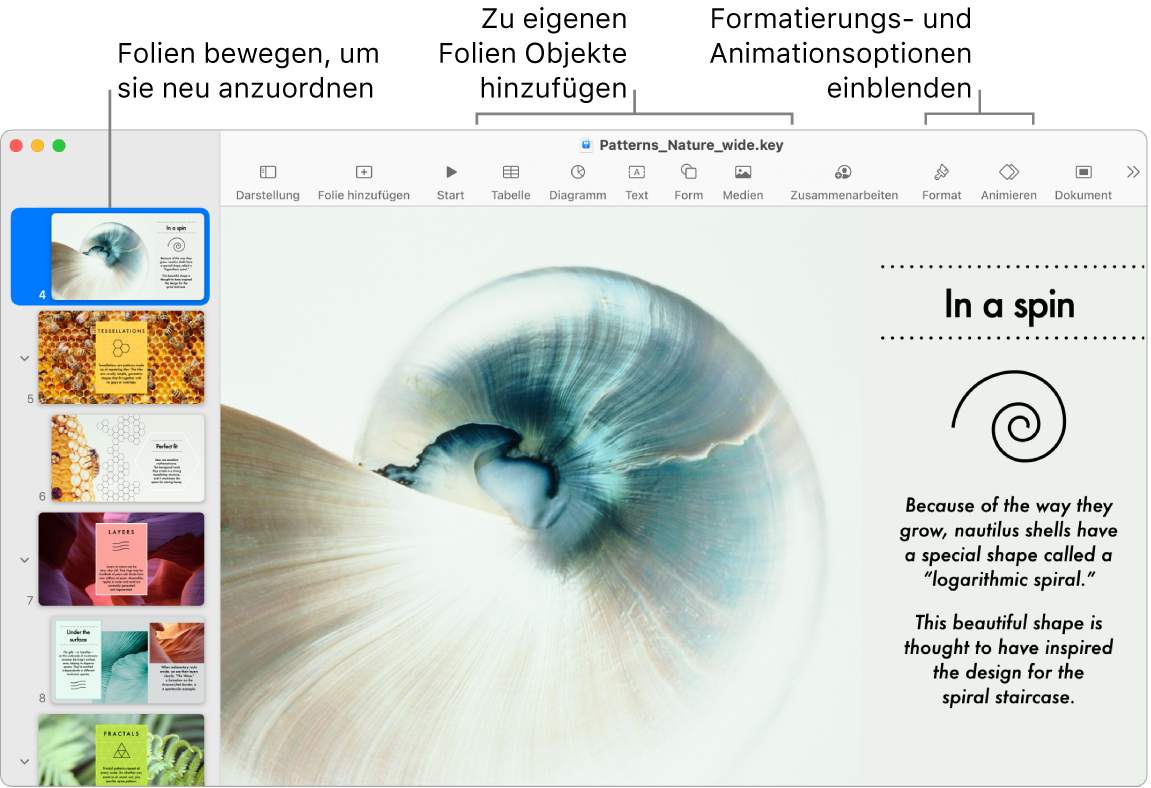 Ein Keynote-Fenster mit dem Foliennavigator links und Informationen zum Neuanordnen von Folien, der Symbolleiste und den Bearbeitungswerkzeugen oben, der Taste „Zusammenarbeiten“ oben rechts und den Tasten „Format“ und „Animieren“ rechts.