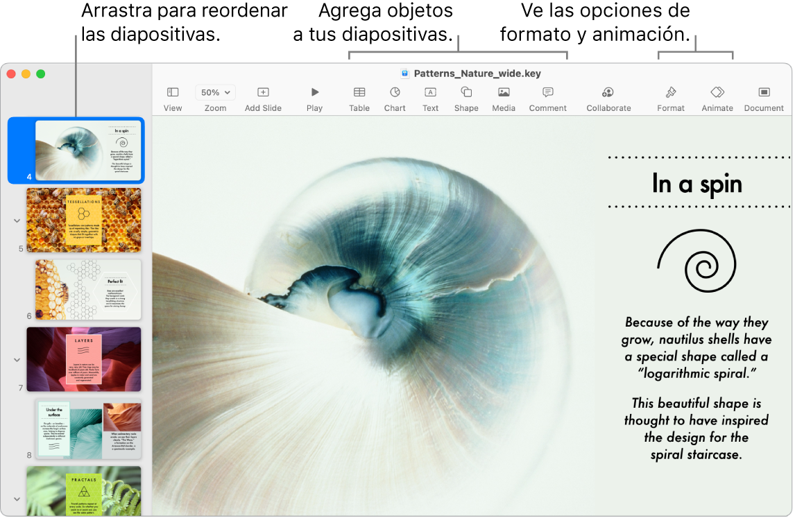 Una ventana de Keynote mostrando el navegador de positivas a la izquierda y cómo se reorganizan las diapositivas; la barra de herramientas y sus herramientas de edición está en la parte superior, el botón Colaborar se encuentra cerca de la esquina superior derecha, y los botones Formato y Animar se encuentran en el lado derecho.