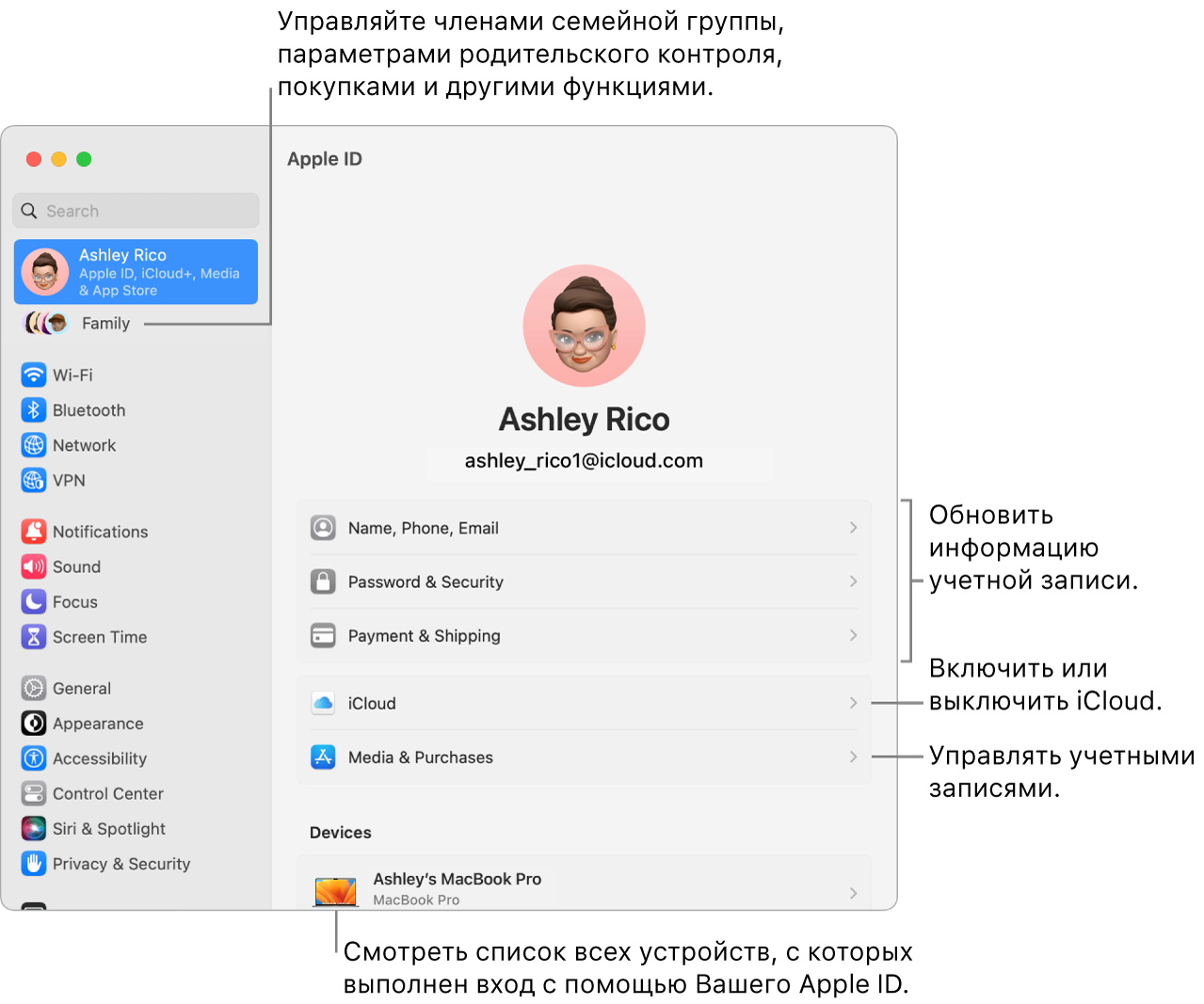 Настройки Apple ID в Системных настройках. Сносками показаны параметры обновления сведений учетной записи, включения или выключения функций iCloud и управления настройками учетных записей для мультимедиа. В настройках Семейного доступа показаны параметры управления устройствами членов семьи, родительским контролем, покупками и многим другим.
