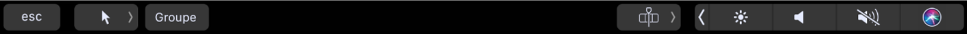 Option de groupe dans la Touch Bar