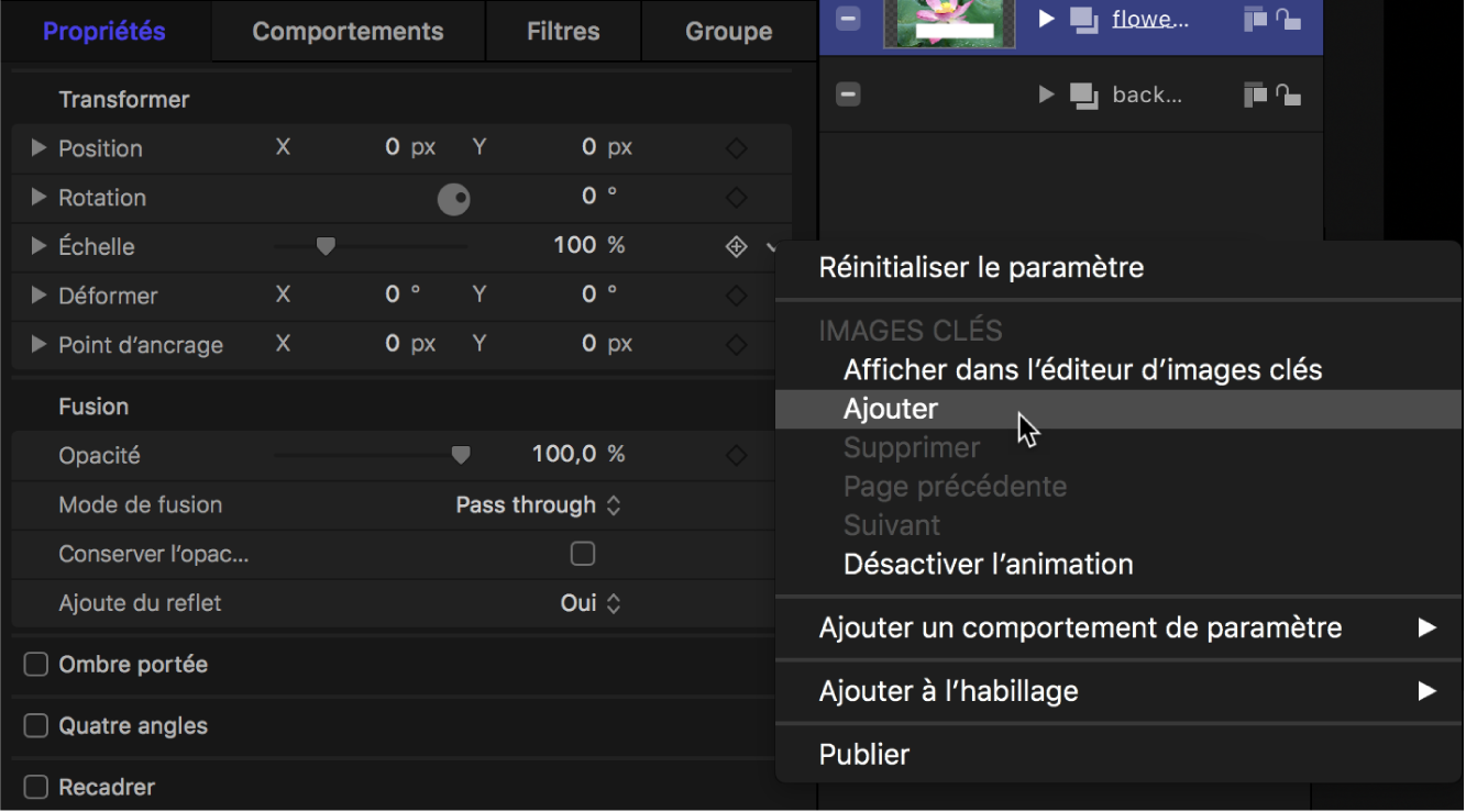 Menu Animation dans l’inspecteur