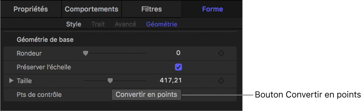 Fenêtre Géométrie d’une forme affichant le bouton Convertir en points