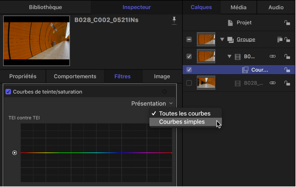 Options d’affichage dans le menu local Présentation des courbes de teinte/saturation au sein de l’inspecteur de filtres