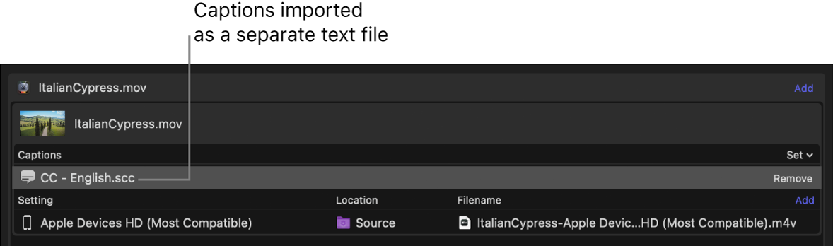 Batch area showing a captions file added as a separate text file