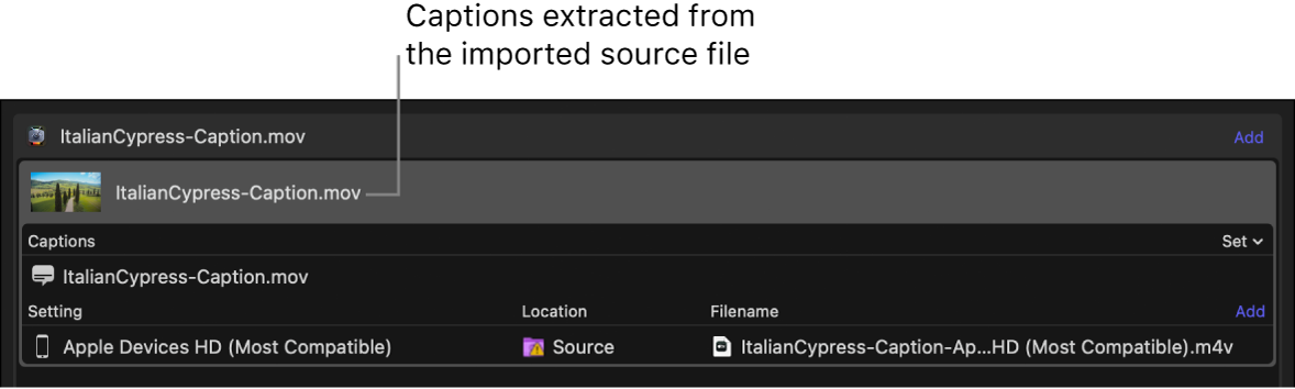 Área de lote con un archivo de subtítulos extraído del archivo fuente de vídeo