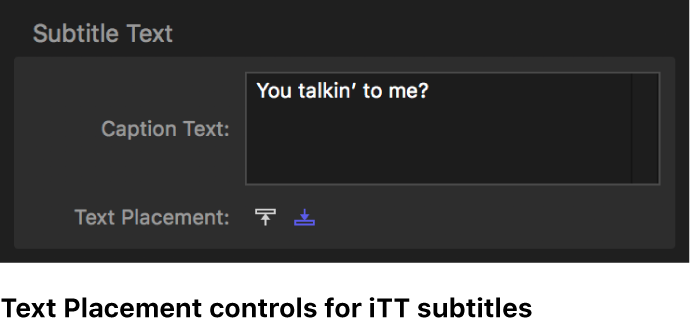 iTT 자막에 대한 텍스트 배치 컨트롤