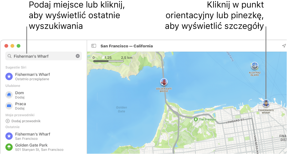 Wprowadź miejsce w polu wyszukiwania lub kliknij w nie, aby zobaczyć ostatnie wyszukiwania. Kliknij w punkt orientacyjny lub pinezkę, aby zobaczyć szczegóły.