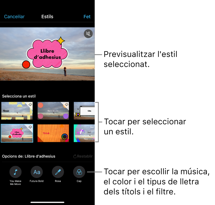 El visor mostra una previsualització de l’estil seleccionat i les opcions d’estil a sota. Els botons per afegir música, seleccionar el color i el tipus de lletra dels títols i aplicar un filtre a la part inferior de la pantalla.