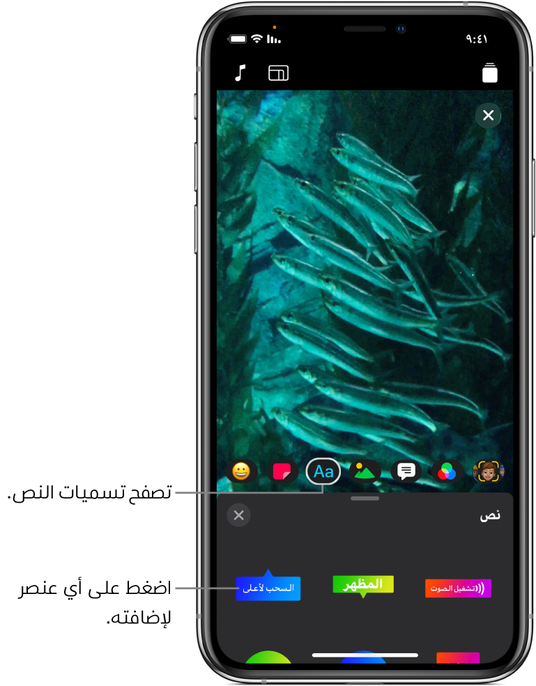 صورة فيديو في العارض، مع تحديد زر نص، وتظهر خيارات الرقعة النصية في الأسفل.