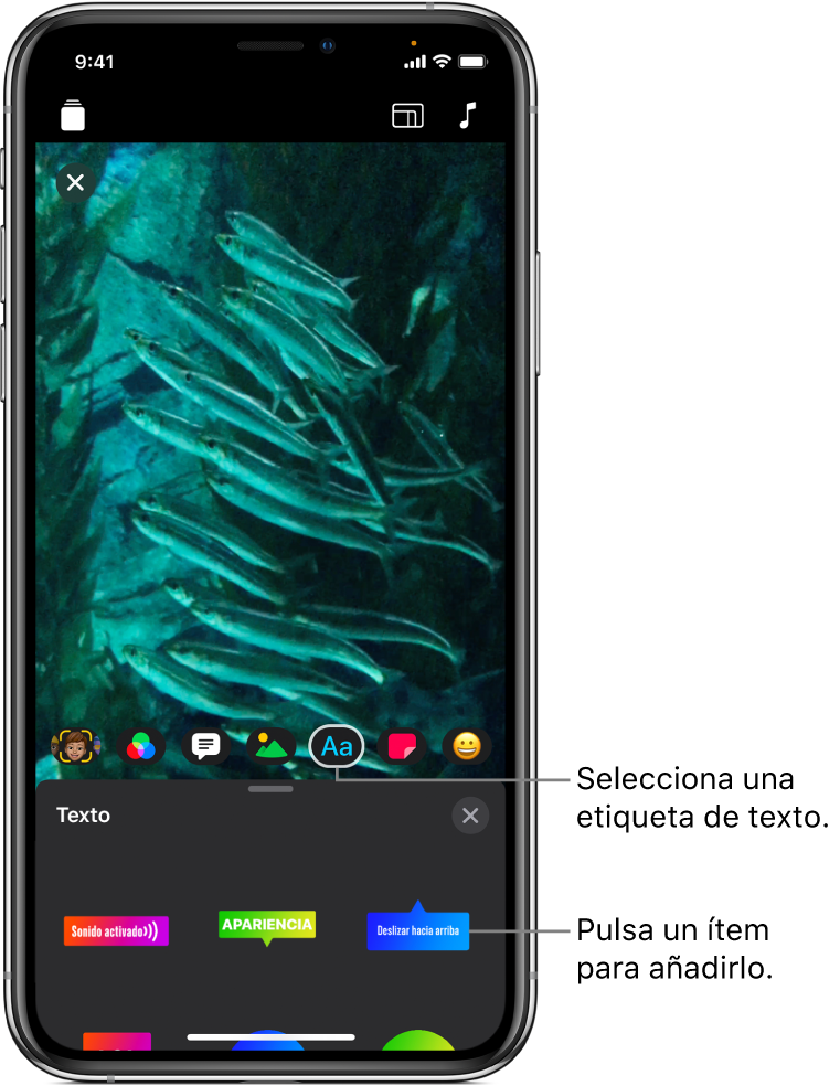 La imagen de un vídeo en el visor con el botón Texto seleccionado y las opciones de etiquetas de texto debajo.