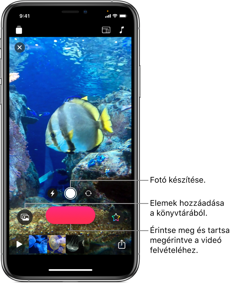 Egy videó képe a megtekintőben, a kameravezérlőkkel, a Felvétel gombbal, és a alul az aktuális videóhoz tartozó klipek bélyegképeivel.