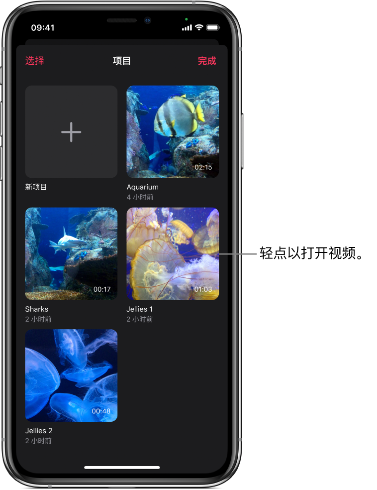 “项目”屏幕显示“新项目”按钮和现有视频的缩略图。