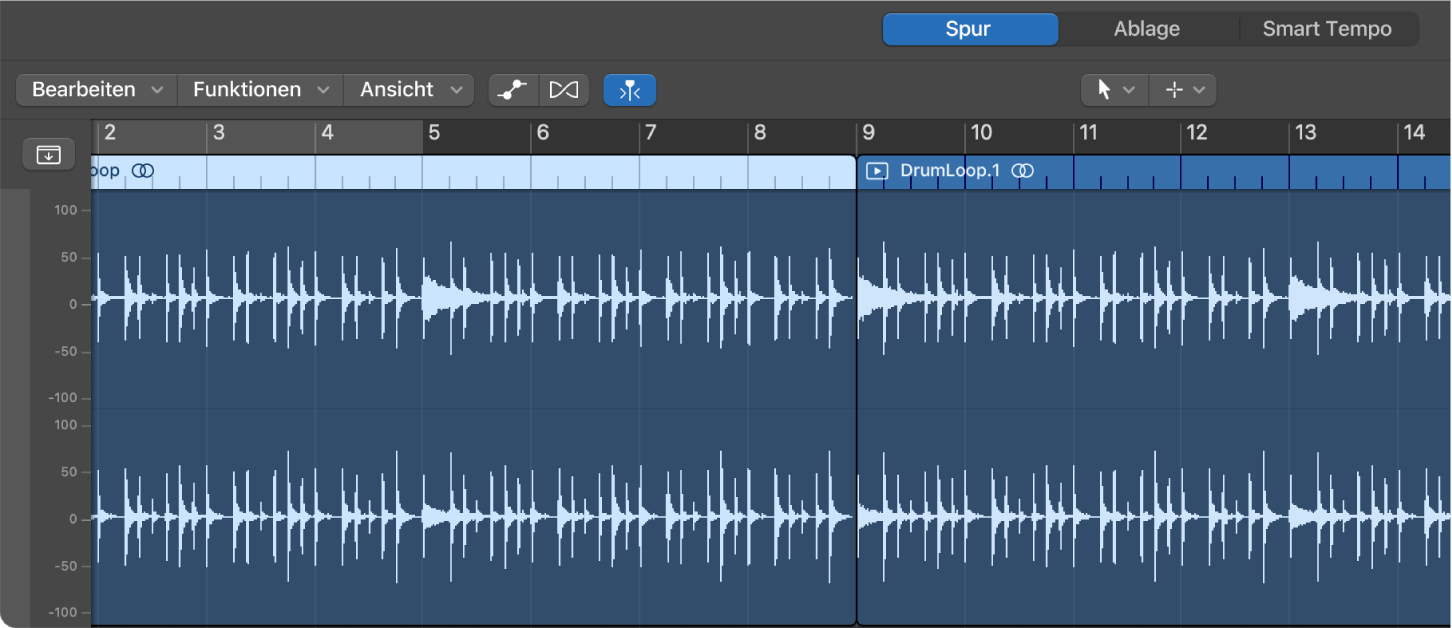 Abbildung. Audiospureditor mit ausgewählter Region