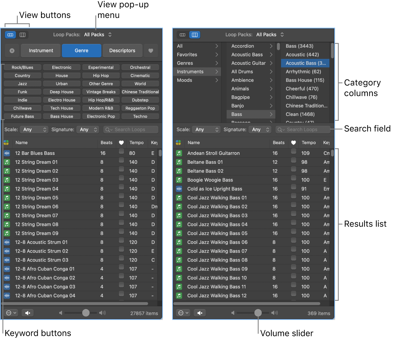 Figure. The Loop Browser.