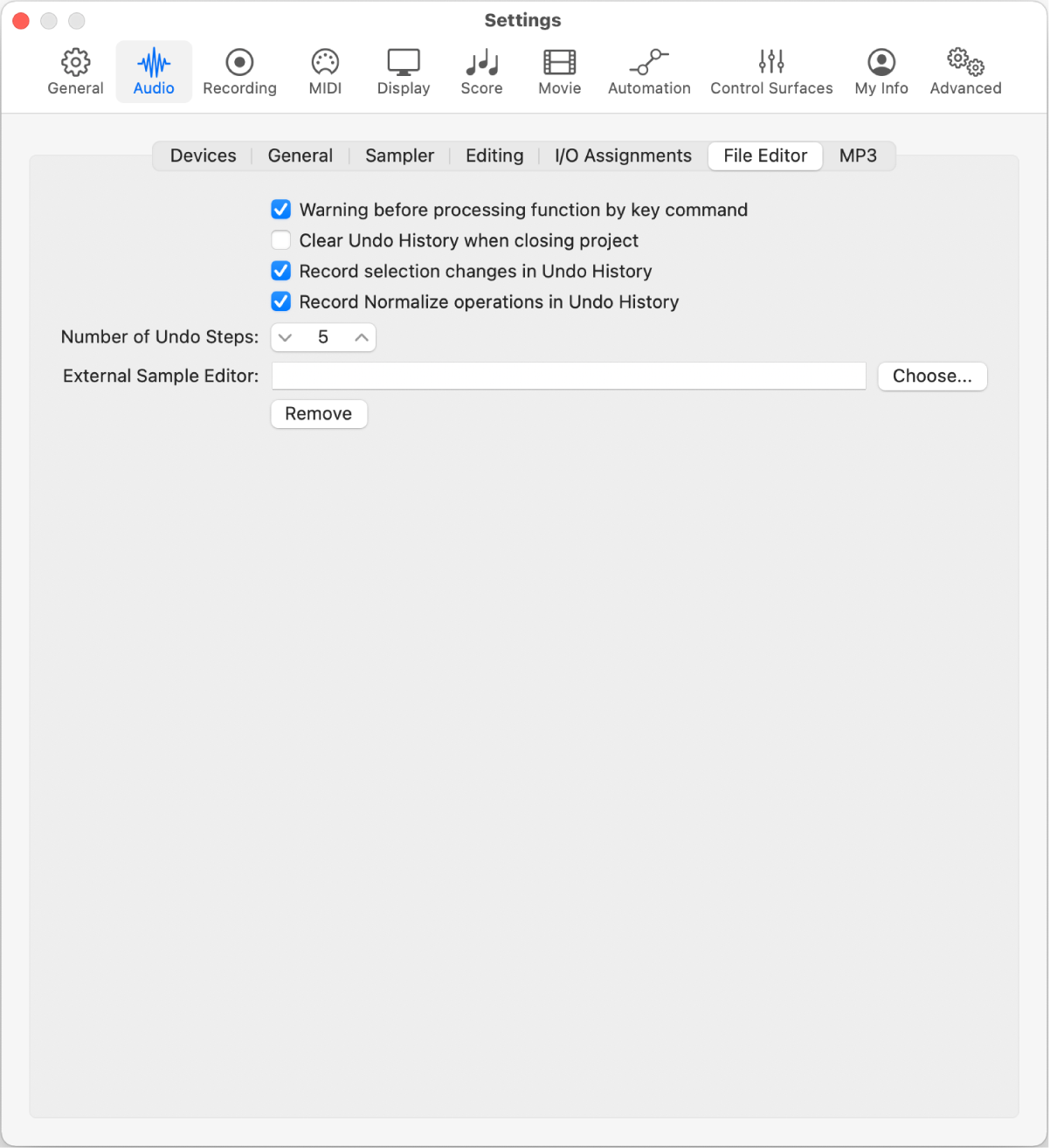 Figure. Audio File Editor settings.