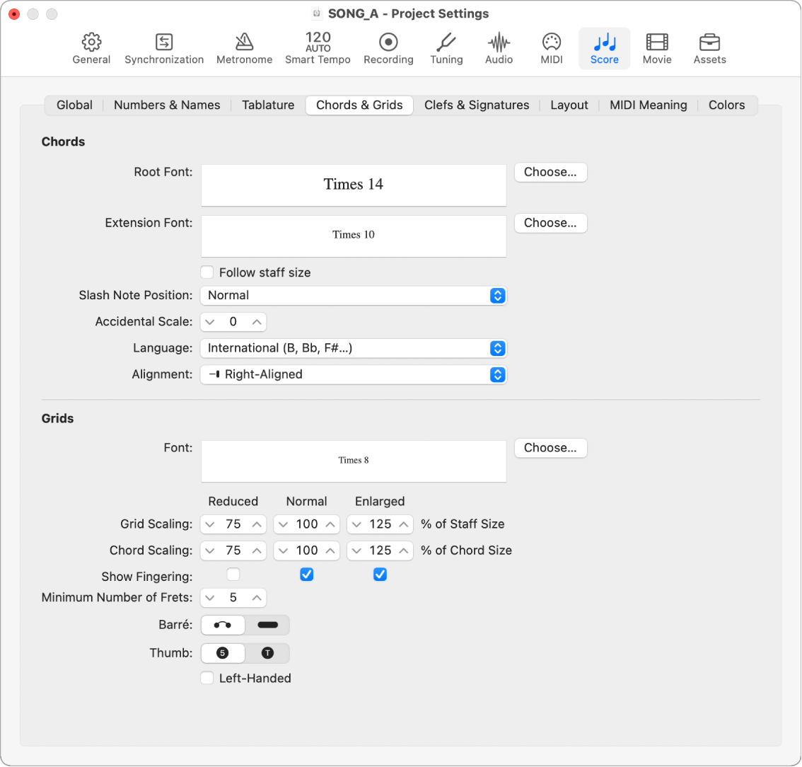 Figure. Chords and Grids project settings.